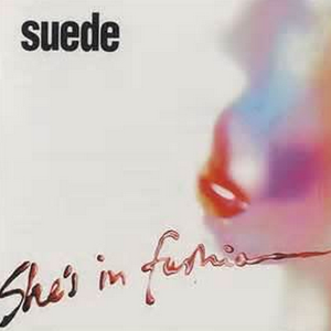 女人和公豬交内谢
